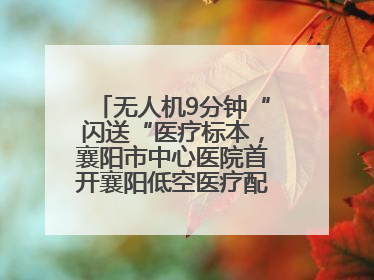 无人机9分钟“闪送“医疗标本，襄阳市中心医院首开襄阳低空医疗配送“空中快