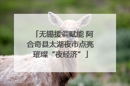 无锡援疆赋能 阿合奇县太湖夜市点亮璀璨“夜经济”