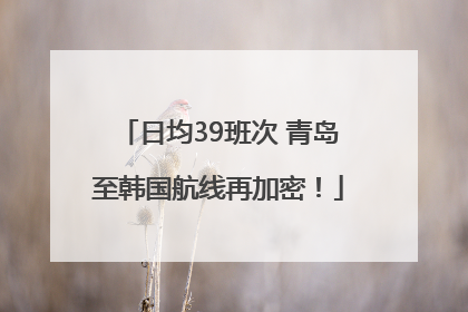 日均39班次 青岛至韩国航线再加密！
