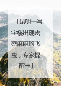 昆明一写字楼出现密密麻麻的飞虫，专家提醒→