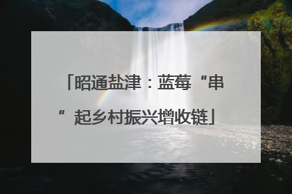 昭通盐津：蓝莓“串”起乡村振兴增收链