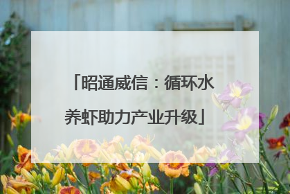 昭通威信：循环水养虾助力产业升级