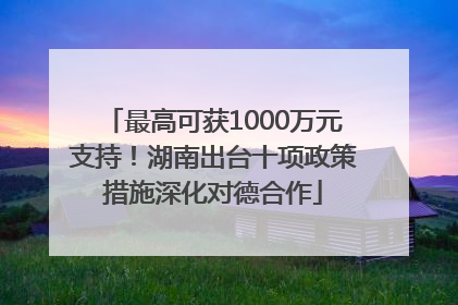 最高可获1000万元支持！湖南出台十项政策措施深化对德合作