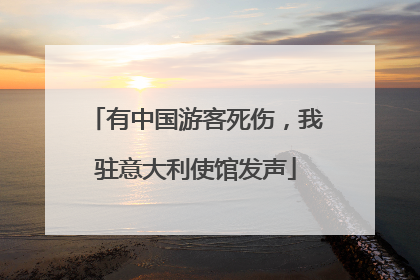 有中国游客死伤，我驻意大利使馆发声