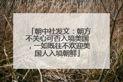 朝中社发文：朝方不关心可否入境美国，一如既往不欢迎美国人入境朝鲜