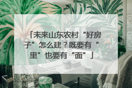 未来山东农村“好房子”怎么建？既要有“里”也要有“面”