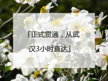 正式贯通，从武汉3小时直达