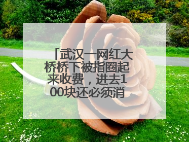 武汉一网红大桥桥下被指圈起来收费，进去100块还必须消费？当地回应