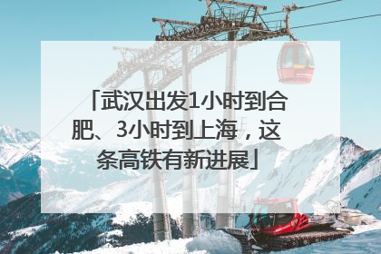 武汉出发1小时到合肥、3小时到上海，这条高铁有新进展