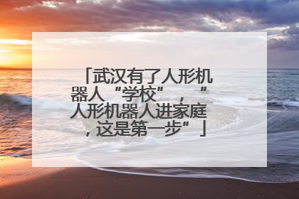 武汉有了人形机器人“学校”，“人形机器人进家庭，这是第一步”