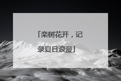 栾树花开，记录夏日浪漫