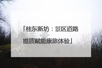 桂东新坊：景区道路提质赋能康旅体验