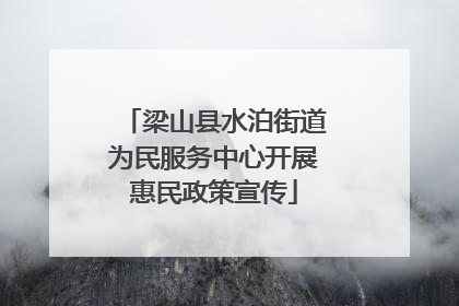 梁山县水泊街道为民服务中心开展惠民政策宣传