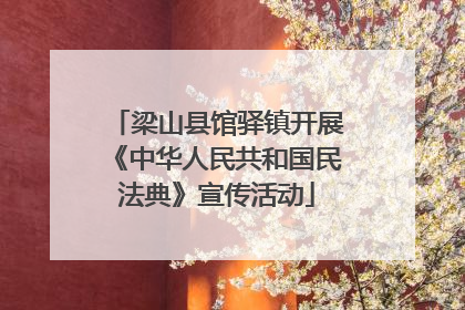 梁山县馆驿镇开展《中华人民共和国民法典》宣传活动