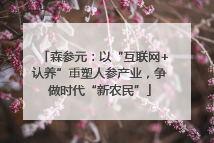 森参元：以“互联网+认养”重塑人参产业，争做时代“新农民”