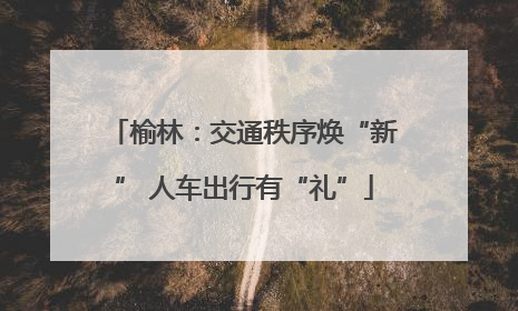 榆林：交通秩序焕“新” 人车出行有“礼”