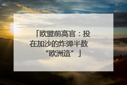 欧盟前高官：投在加沙的炸弹半数“欧洲造”