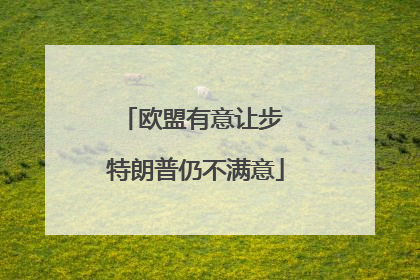 欧盟有意让步 特朗普仍不满意