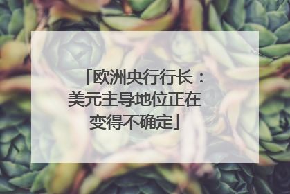 欧洲央行行长：美元主导地位正在变得不确定