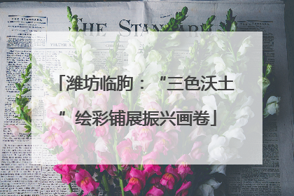 潍坊临朐：“三色沃土”绘彩铺展振兴画卷
