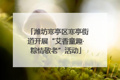 潍坊寒亭区寒亭街道开展“艾香童趣·粽情敬老”活动