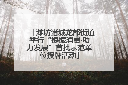 潍坊诸城龙都街道举行“提振消费·助力发展”首批示范单位授牌活动