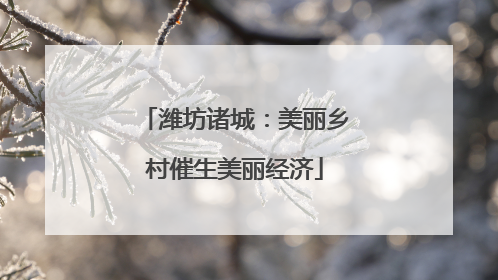 潍坊诸城：美丽乡村催生美丽经济