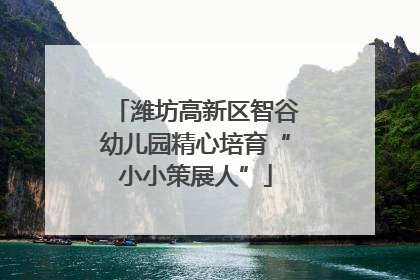 潍坊高新区智谷幼儿园精心培育“小小策展人”