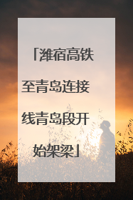 潍宿高铁至青岛连接线青岛段开始架梁