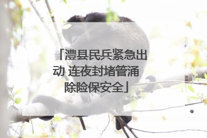 澧县民兵紧急出动 连夜封堵管涌除险保安全