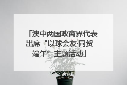 澳中两国政商界代表出席“以球会友·同贺端午”主题活动