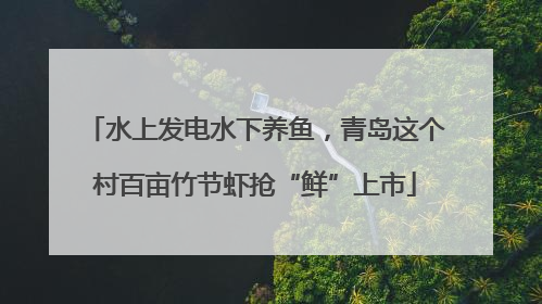水上发电水下养鱼，青岛这个村百亩竹节虾抢“鲜”上市