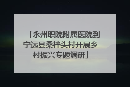 永州职院附属医院到宁远县桑梓头村开展乡村振兴专题调研