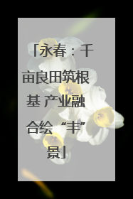 永春：千亩良田筑根基 产业融合绘“丰”景