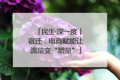 民生·深一度丨宿迁：电商赋能让流量变“增量”