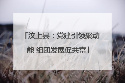汶上县：党建引领聚动能 组团发展促共富