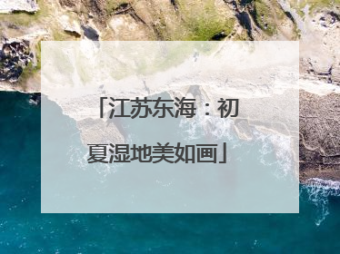 江苏东海：初夏湿地美如画