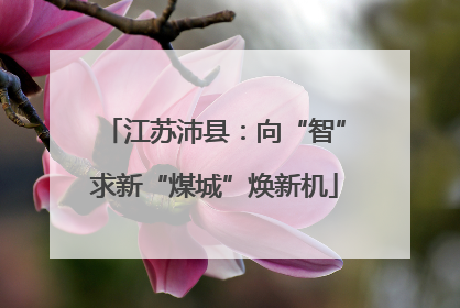 江苏沛县：向“智”求新“煤城”焕新机