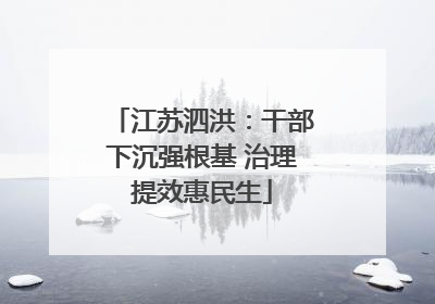 江苏泗洪：干部下沉强根基 治理提效惠民生
