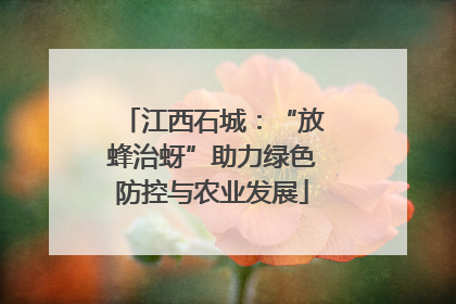 江西石城：“放蜂治蚜”助力绿色防控与农业发展