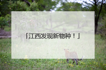 江西发现新物种！