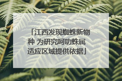 江西发现蜘蛛新物种 为研究呵叻蛛属适应区域提供依据