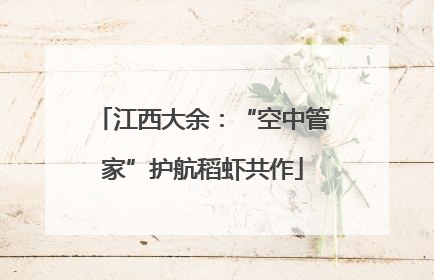江西大余：“空中管家”护航稻虾共作