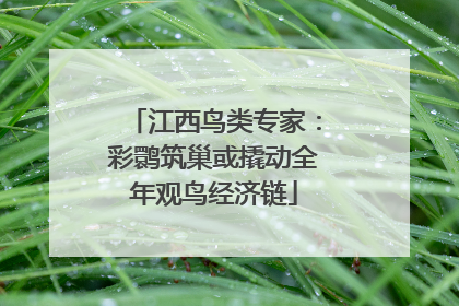 江西鸟类专家：彩鹮筑巢或撬动全年观鸟经济链