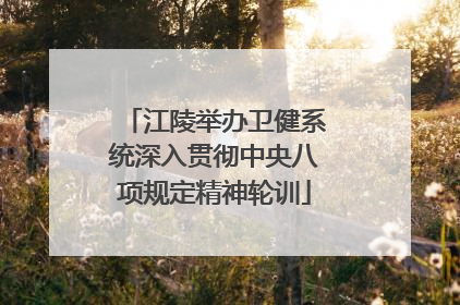 江陵举办卫健系统深入贯彻中央八项规定精神轮训