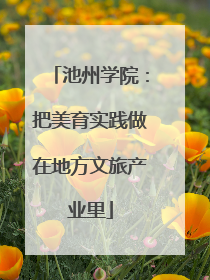 池州学院：把美育实践做在地方文旅产业里