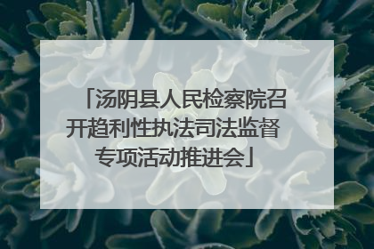 汤阴县人民检察院召开趋利性执法司法监督专项活动推进会