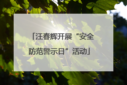 汪春辉开展“安全防范警示日”活动