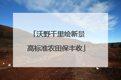 沃野千里绘新景 高标准农田保丰收