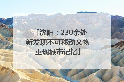 沈阳：230余处新发现不可移动文物重现城市记忆